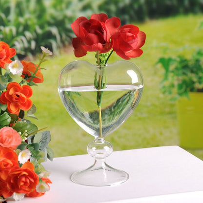Clear Heart Glass Vase for Flowers and Home Decor by HitMyNeed