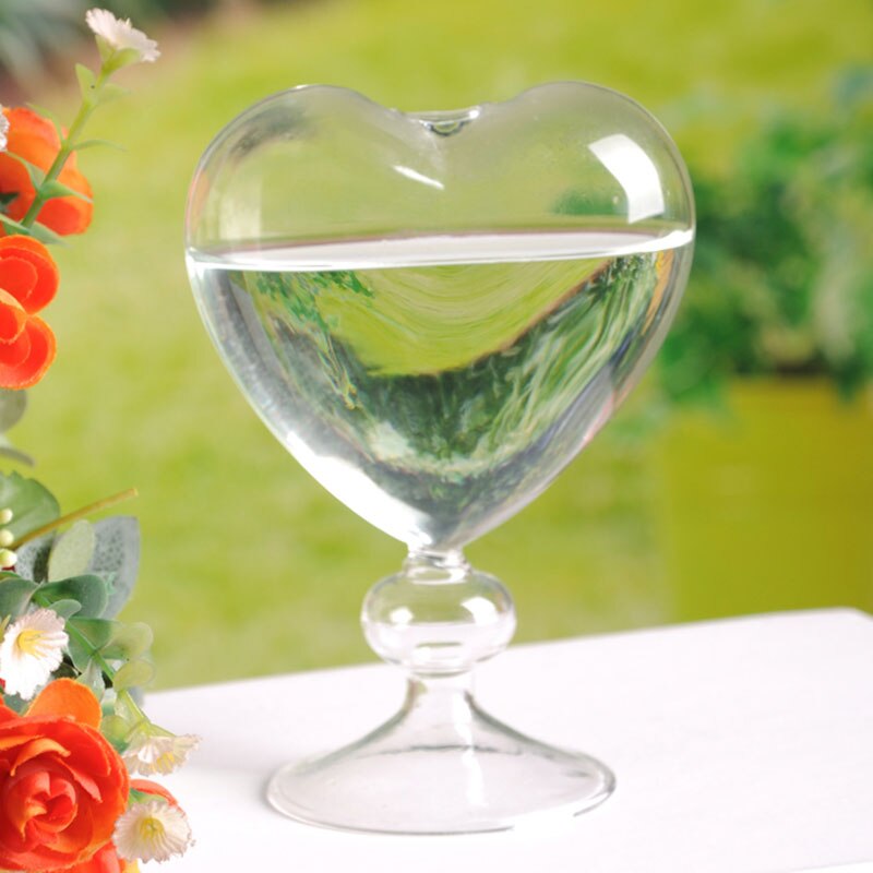 Clear Heart Glass Vase for Flowers and Home Decor by HitMyNeed