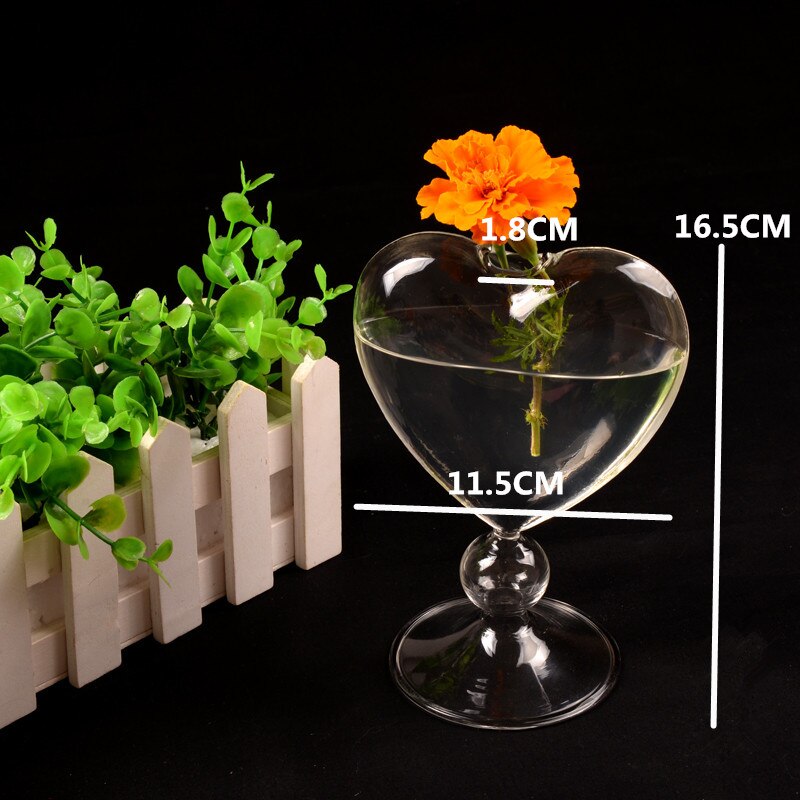 Clear Heart Glass Vase for Flowers and Home Decor by HitMyNeed
