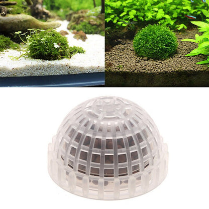 Clear Plastic Aquarium Plant Holder with Gravel by HitMyNeed