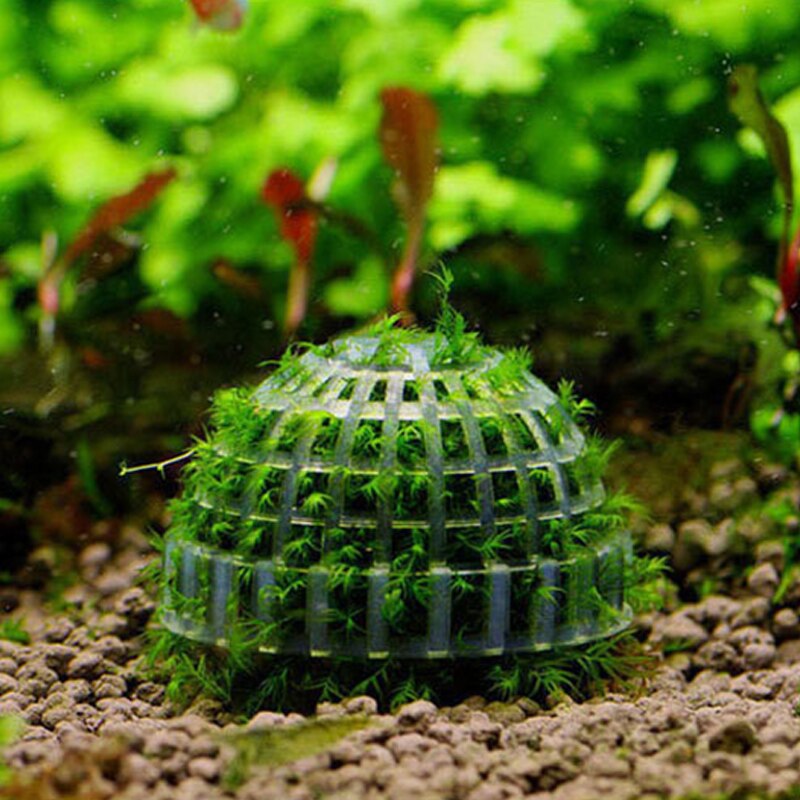 Clear Plastic Aquarium Plant Holder with Gravel by HitMyNeed