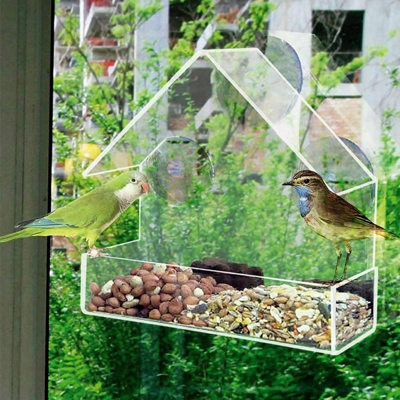 Clear Window Bird Feeder House with Strong Suction Cups by HitMyNeed