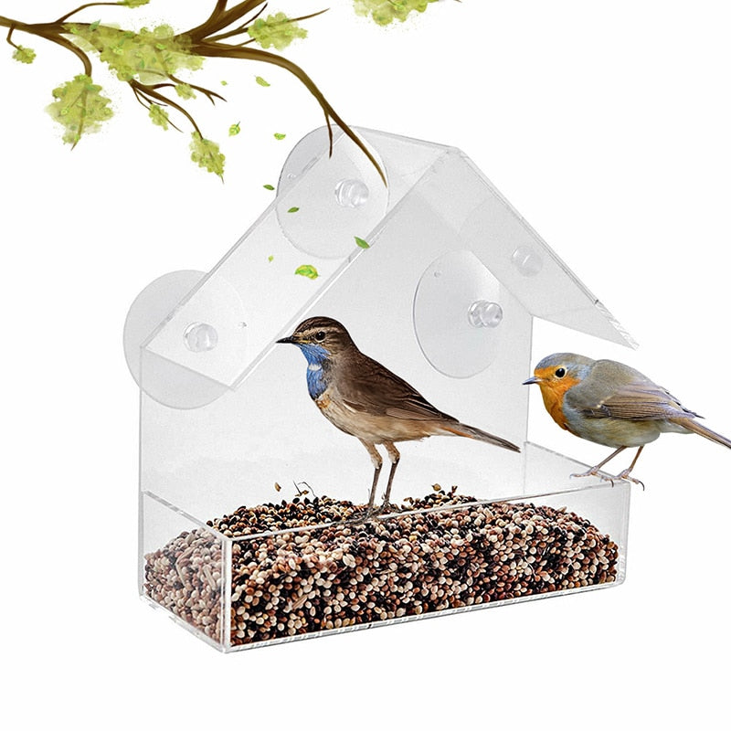 Clear Window Bird Feeder House with Strong Suction Cups by HitMyNeed