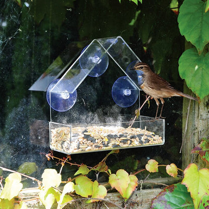 Clear Window Bird Feeder House with Strong Suction Cups by HitMyNeed
