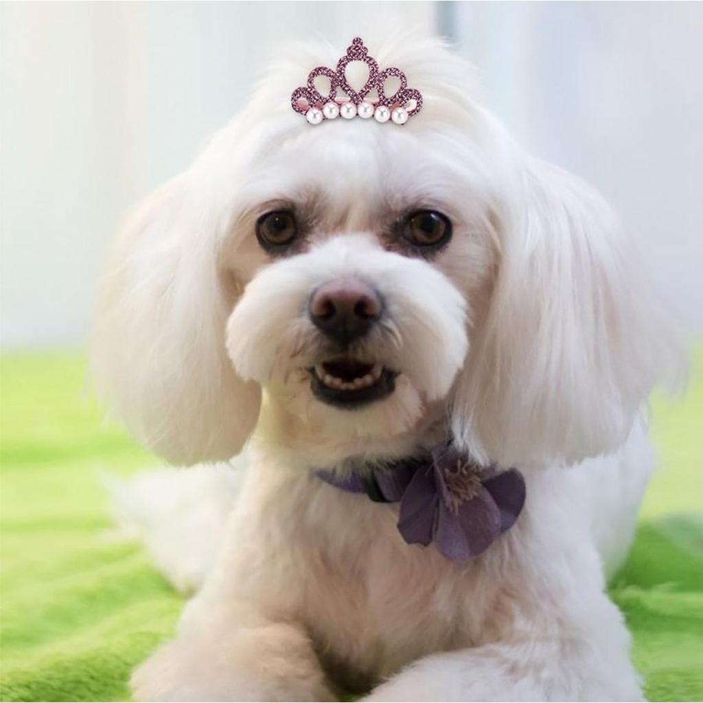 Clip-On Faux Pearl Dog Tiaras, Set of 5 by HitMyNeed
