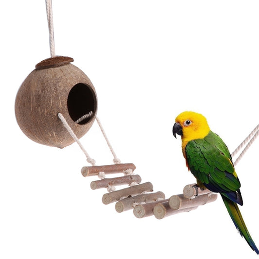Coconut Bird House with Ladder for Small Parrots by HitMyNeed