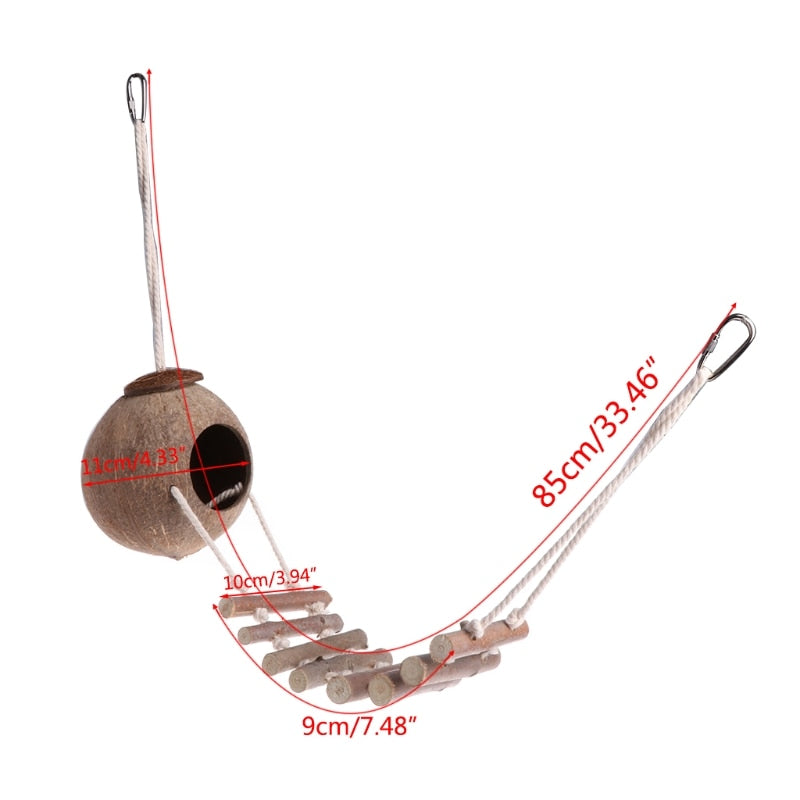 Coconut Bird House with Ladder for Small Parrots by HitMyNeed