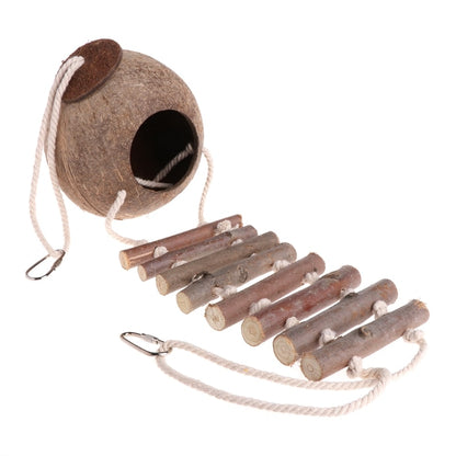 Coconut Bird House with Ladder for Small Parrots by HitMyNeed