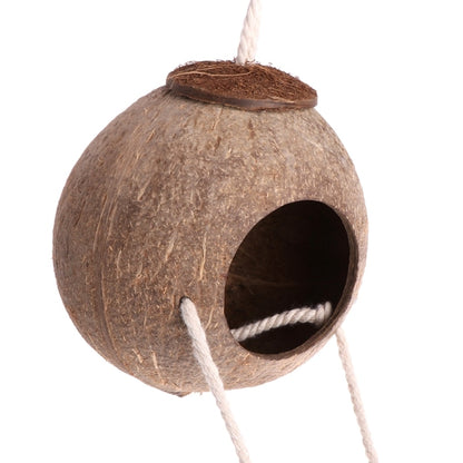 Coconut Bird House with Ladder for Small Parrots by HitMyNeed