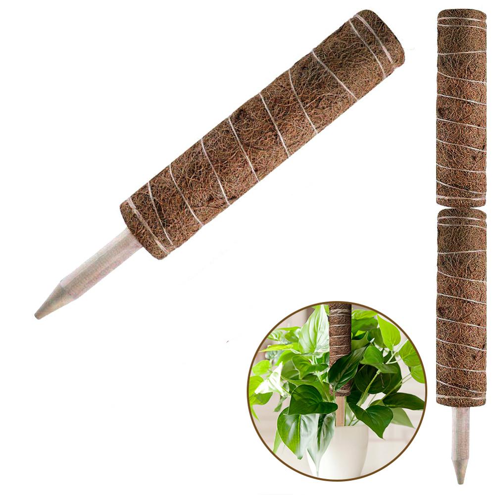 Coir Plant Support Stick Climbing Pole 60cm by HitMyNeed