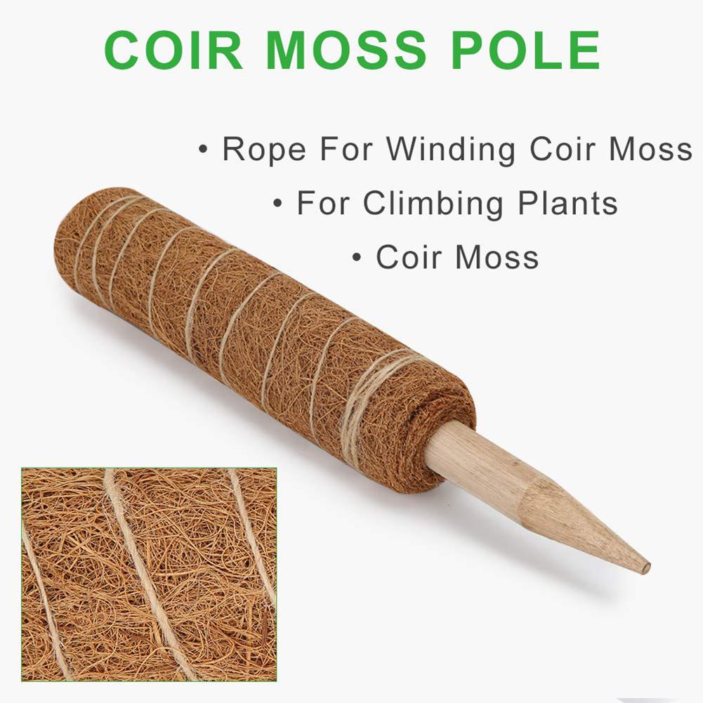 Coir Plant Support Stick Climbing Pole 60cm by HitMyNeed