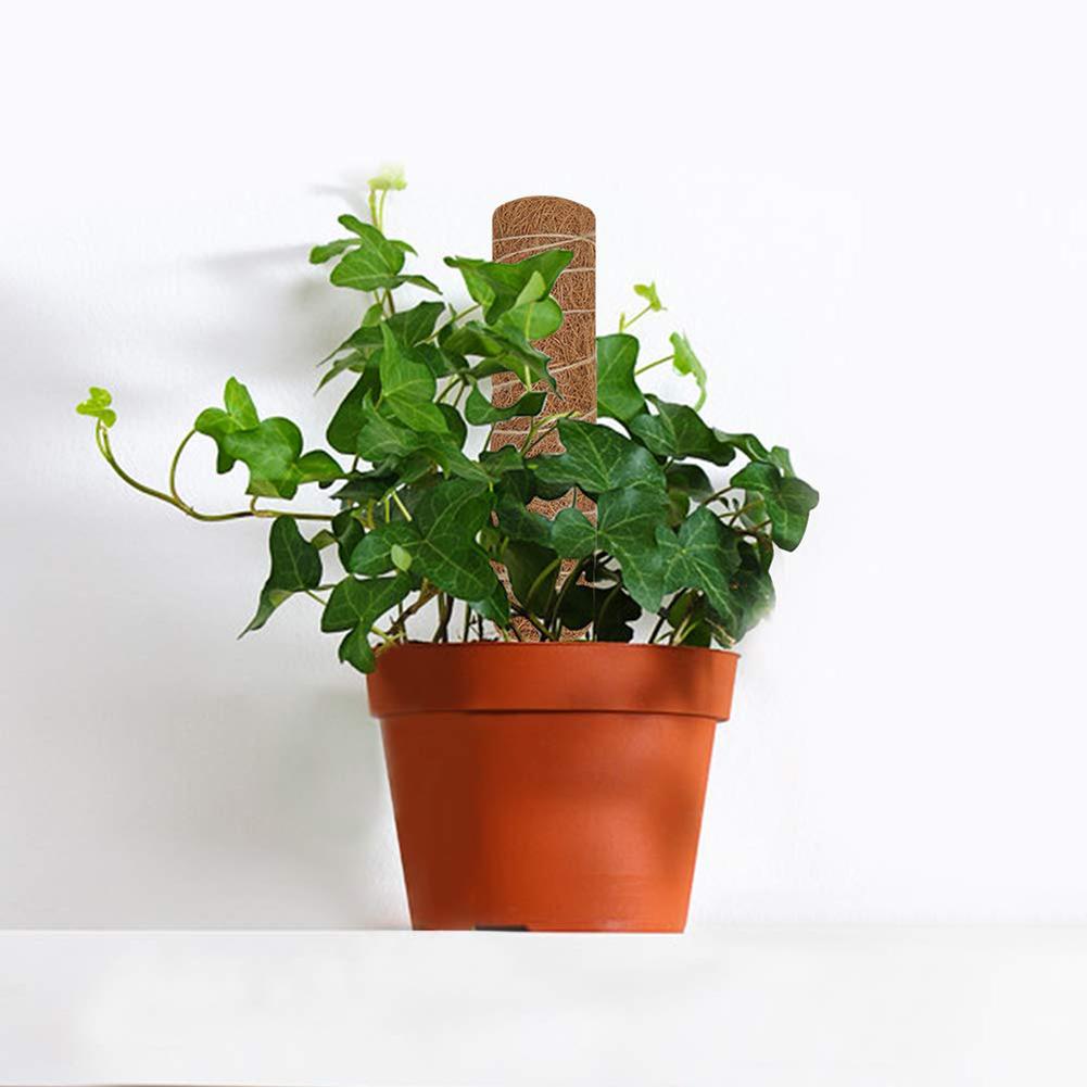 Coir Plant Support Stick Climbing Pole 60cm by HitMyNeed