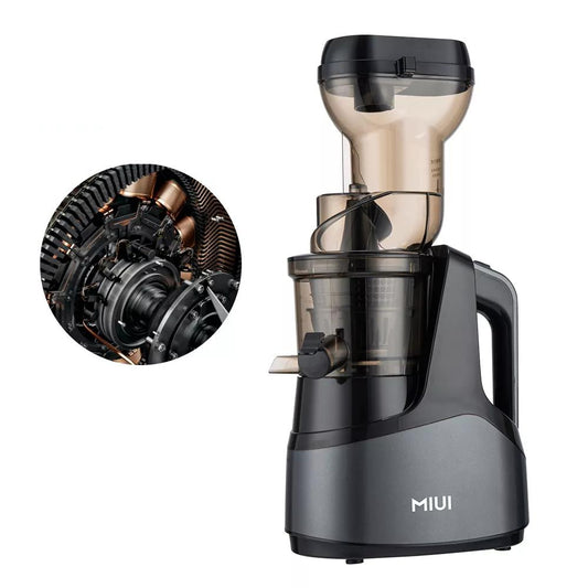 Cold Press Slow Juicer for Commercial & Home Use 110v by HitMyNeed