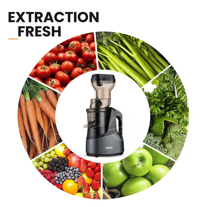 Cold Press Slow Juicer for Commercial & Home Use by HitMyNeed