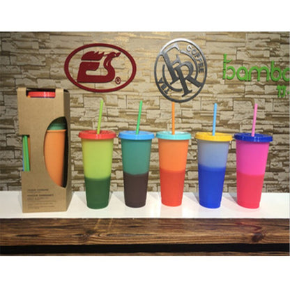 Color Changing Tumblers with Lids & Straws (Set of 5) by HitMyNeed