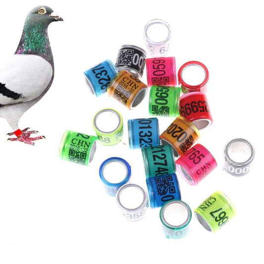 Colorful Numbered Pigeon Leg Bands with QR (20pcs) by HitMyNeed