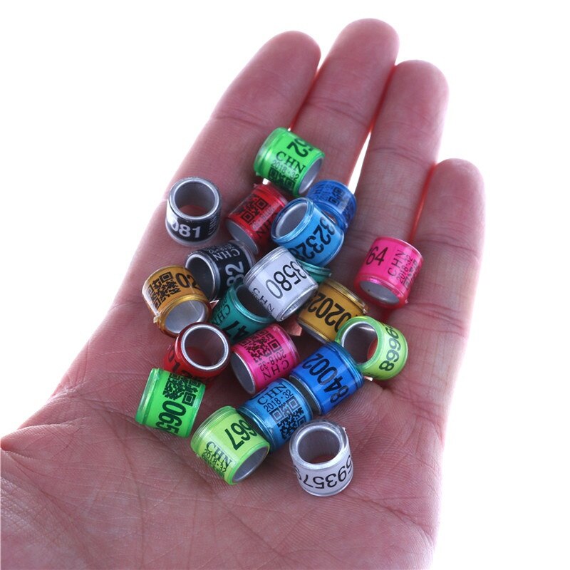 Colorful Numbered Pigeon Leg Bands with QR (20pcs) by HitMyNeed