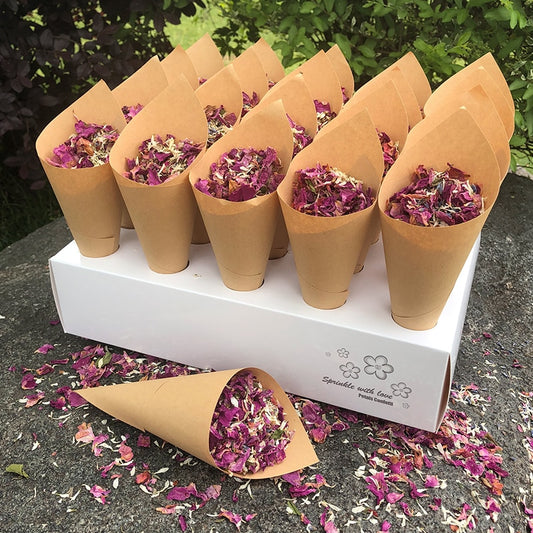 Confetti Cones Set with 20-Slot Tray and Petals by HitMyNeed