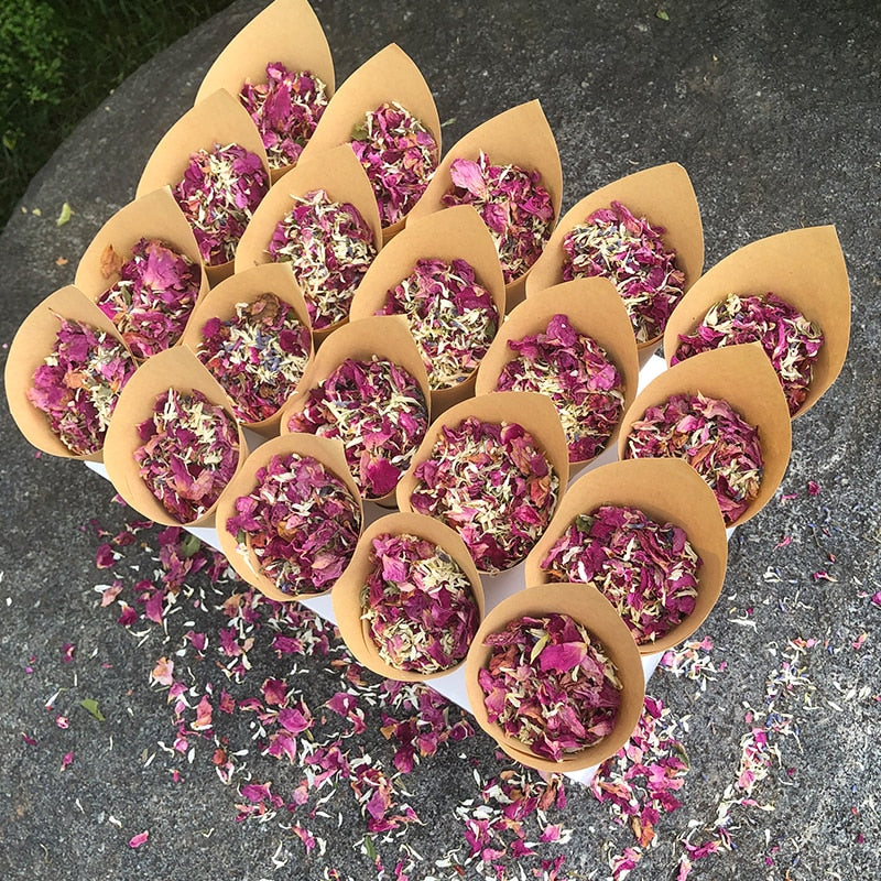 Confetti Cones Set with 20-Slot Tray and Petals by HitMyNeed
