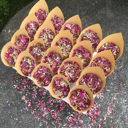 Confetti Cones Set with 20-Slot Tray and Petals by HitMyNeed