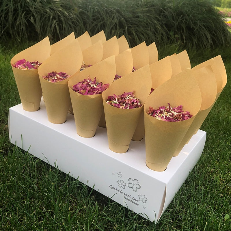 Confetti Cones Set with 20-Slot Tray and Petals by HitMyNeed