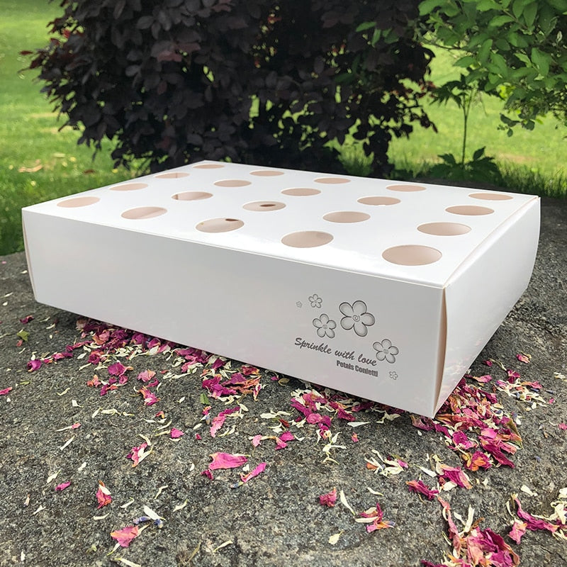 Confetti Cones Set with 20-Slot Tray and Petals by HitMyNeed