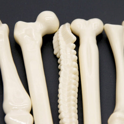 Creative Anatomical Bone Ballpoint Pens 5-Pack Set by HitMyNeed
