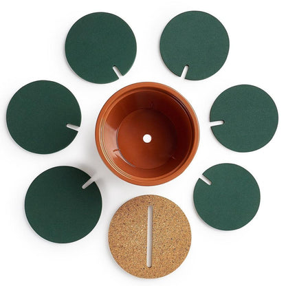 Creative Mountable Cactus Coaster Set with Stand by HitMyNeed