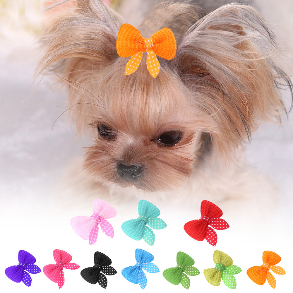 Cute Bow Hair Clips for Dogs, 10-Pack by HitMyNeed