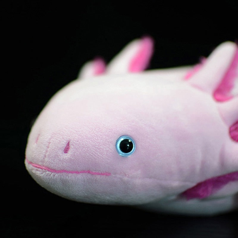 Cute Cartoon Axolotl Plush Toy, 50 cm by HitMyNeed