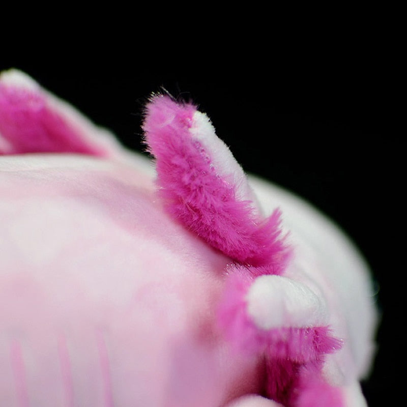 Cute Cartoon Axolotl Plush Toy, 50 cm by HitMyNeed