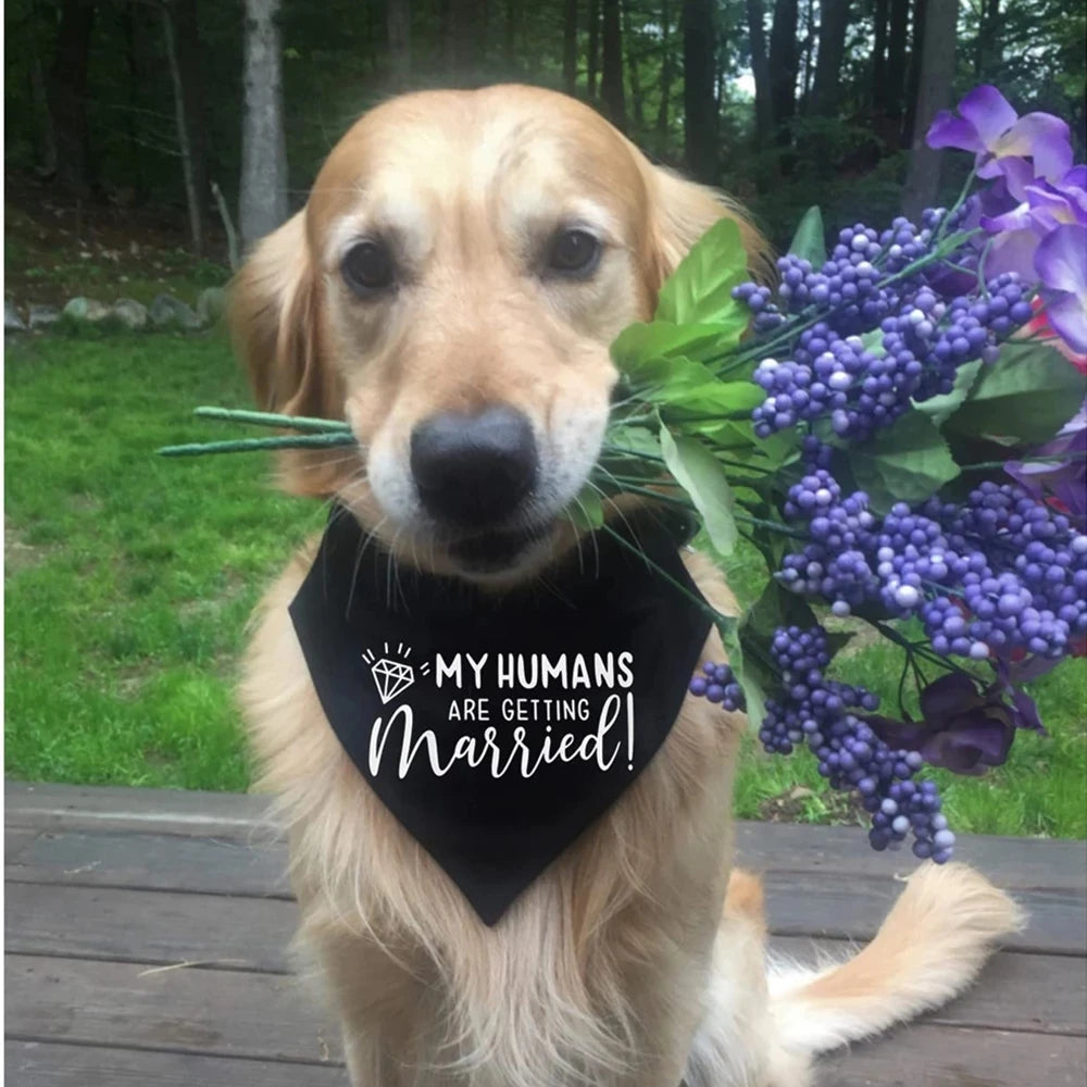 Cute Dog Wedding Bandana for Engagement & Photos by HitMyNeed
