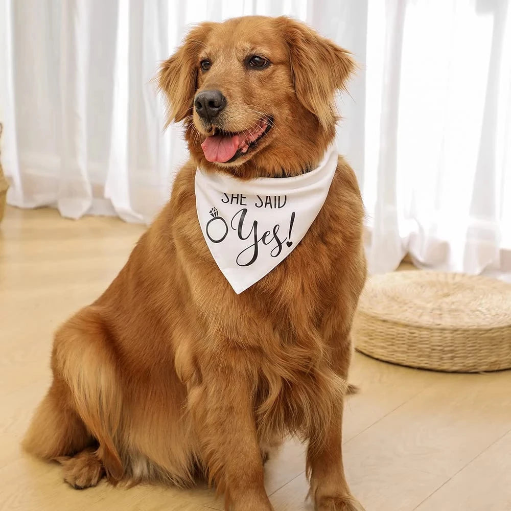 Cute Dog Wedding Bandana for Engagement & Photos by HitMyNeed