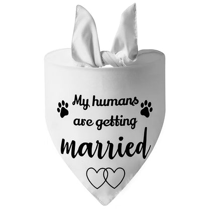 Cute Dog Wedding Bandana for Engagement & Photos style-11 by HitMyNeed