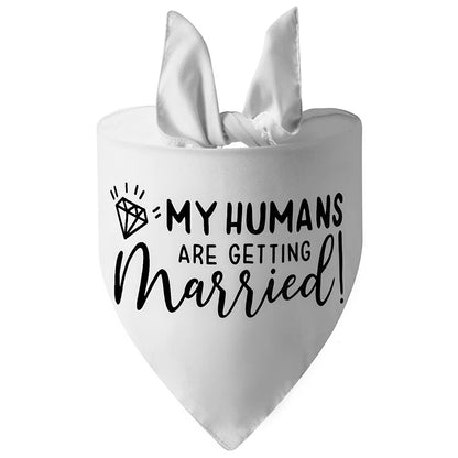 Cute Dog Wedding Bandana for Engagement & Photos style-13 by HitMyNeed