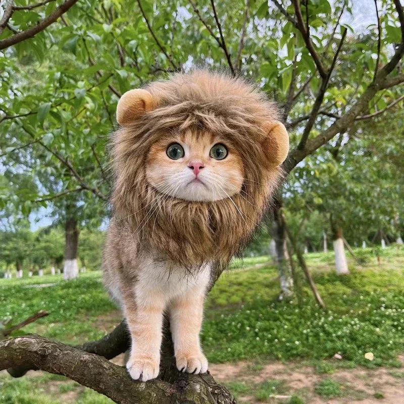 Cute Lion Mane Cat & Small Dog Costume Hat with Ears by HitMyNeed