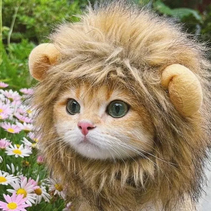 Cute Lion Mane Cat & Small Dog Costume Hat with Ears s by HitMyNeed