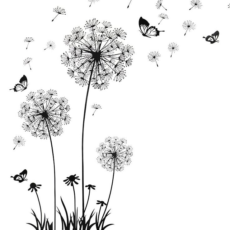 Dandelion Wall Sticker 60x90cm PVC Room Décor by HitMyNeed