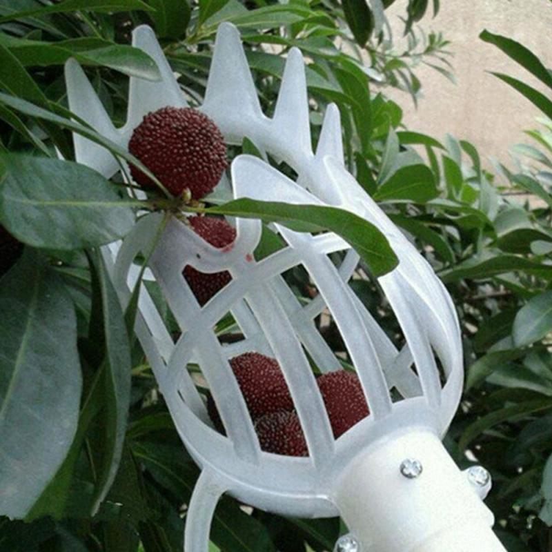Deep Basket Fruit Picker Head for High Branches orange by HitMyNeed