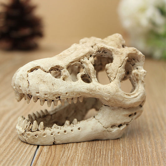 Dinosaur Skull Aquarium Ornament Resin Decor by HitMyNeed