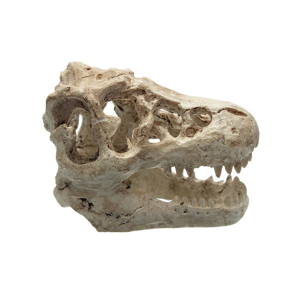 Dinosaur Skull Aquarium Ornament Resin Decor by HitMyNeed