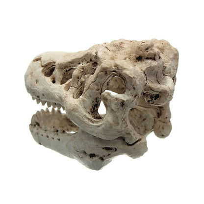 Dinosaur Skull Aquarium Ornament Resin Decor by HitMyNeed