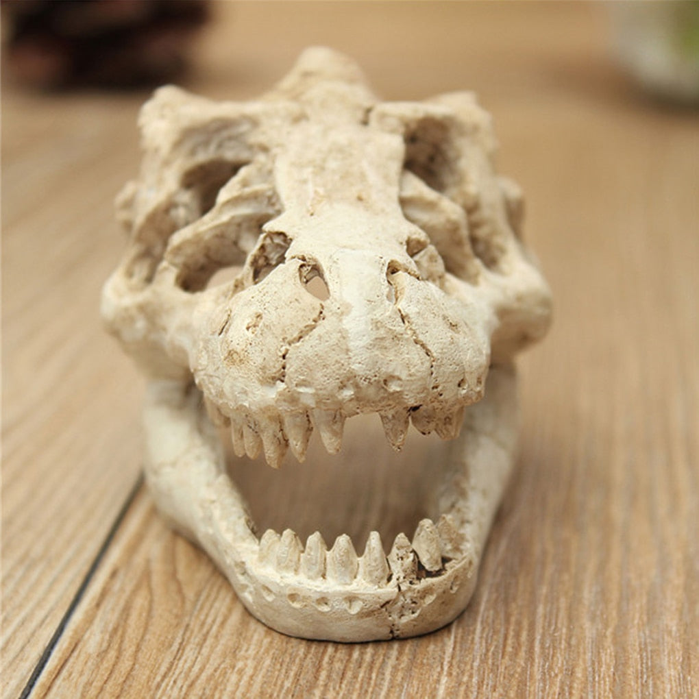 Dinosaur Skull Aquarium Ornament Resin Decor by HitMyNeed