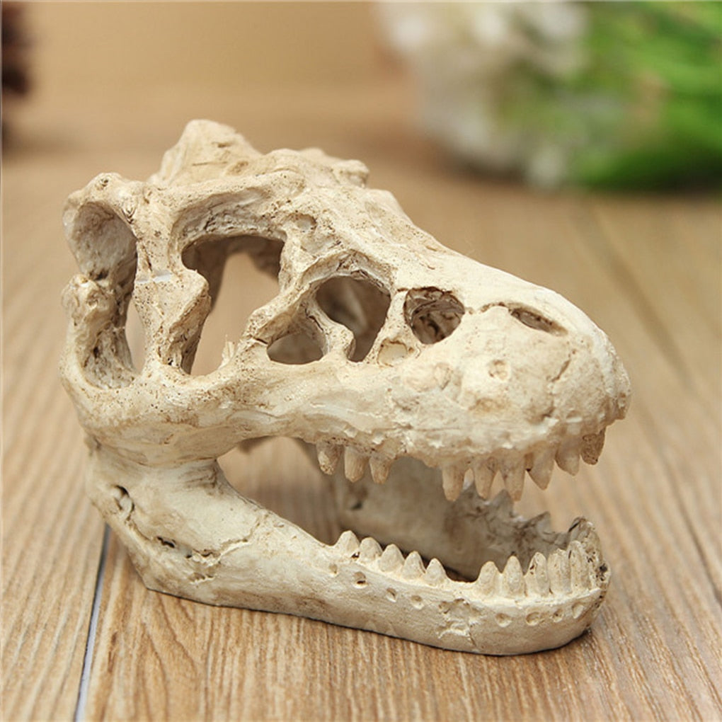 Dinosaur Skull Aquarium Ornament Resin Decor by HitMyNeed