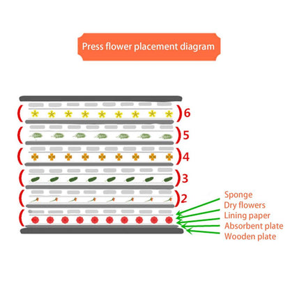 DIY Flower Press Kit 24pcs - 6-Layer Wooden Set by HitMyNeed