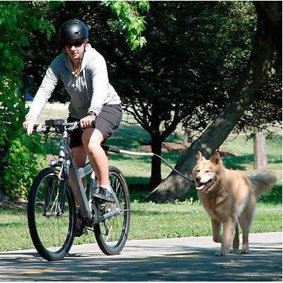 Dog Bike Leash with Stainless Steel Handle by HitMyNeed