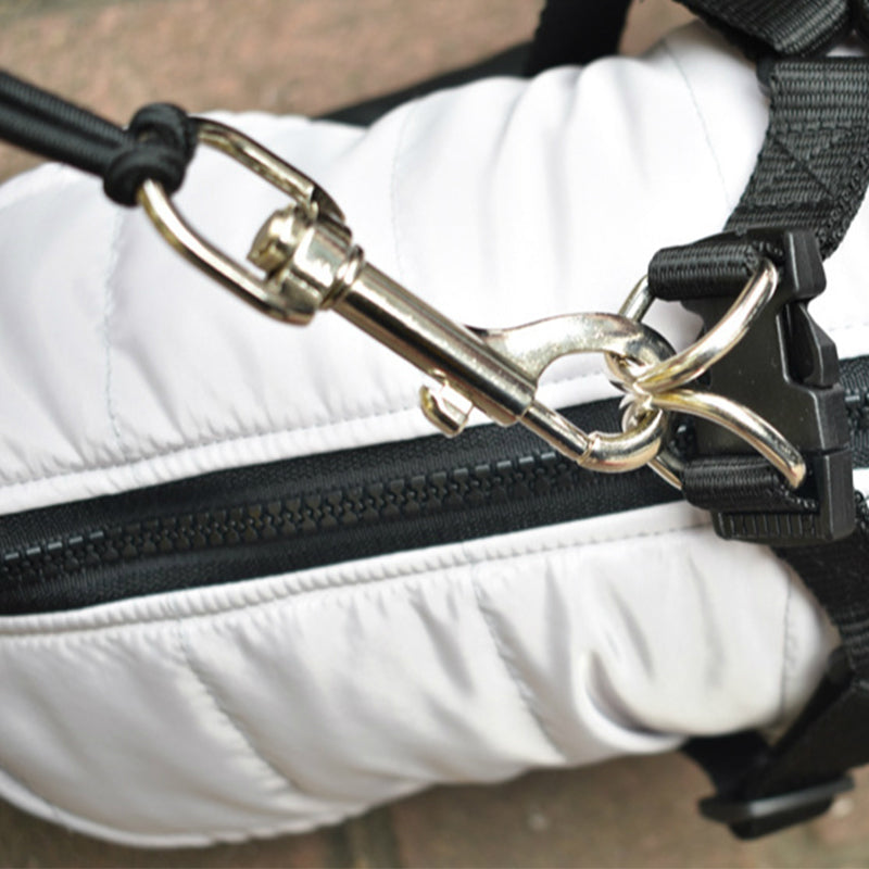 Dog Bike Leash with Stainless Steel Handle by HitMyNeed