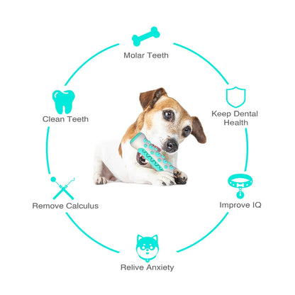 Dog & Cat Dental Chew Stick Toy by HitMyNeed