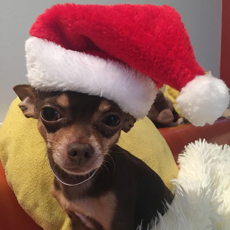 Dog Christmas Santa Hat with Elastic Strap by HitMyNeed