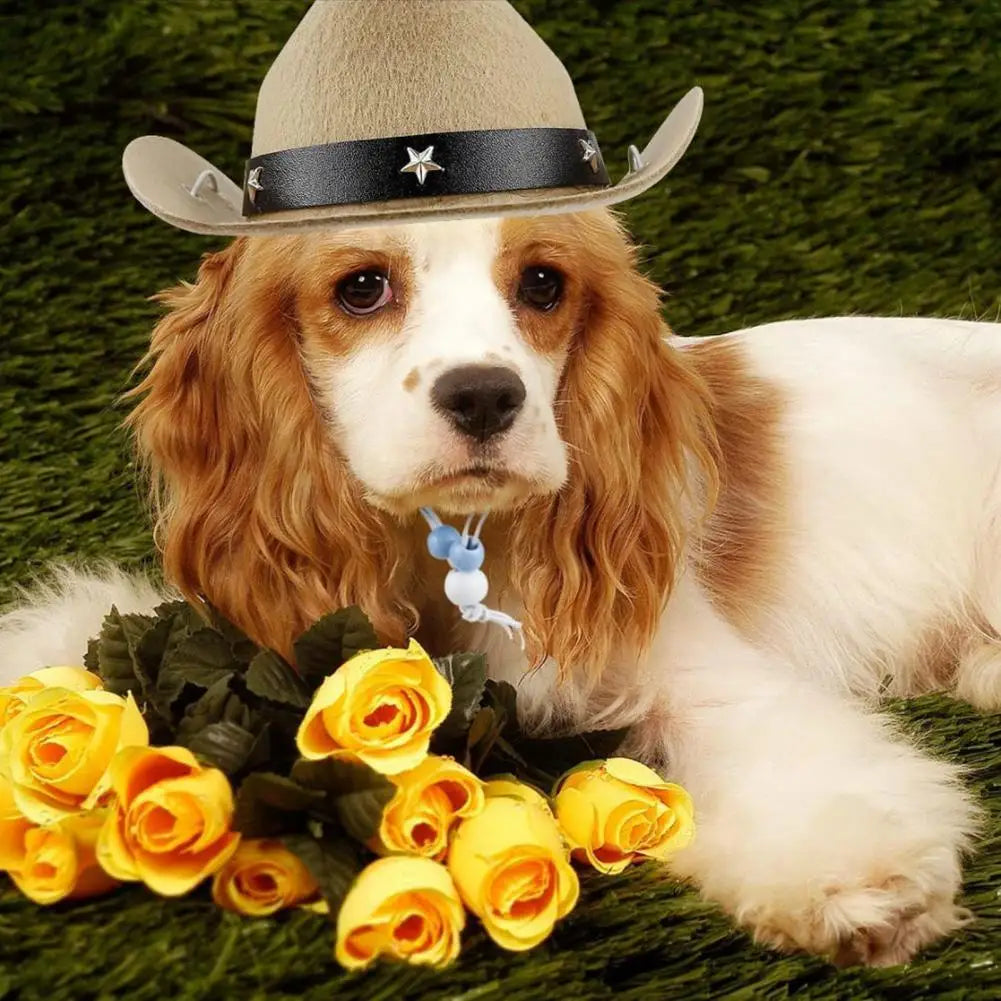 Dog Cowboy Hat and Scarf Set by HitMyNeed